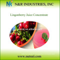 Lingonberry-Saft-Konzentrat